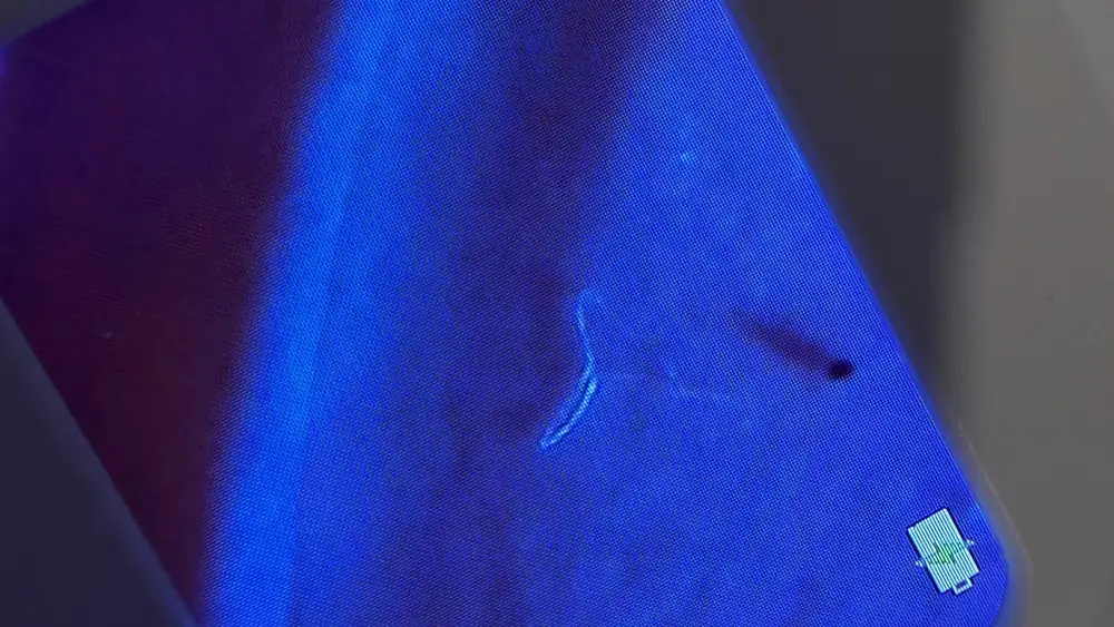 A microplastic fiber glowing on the filter membrane, with a dark speck beside it, at 10x