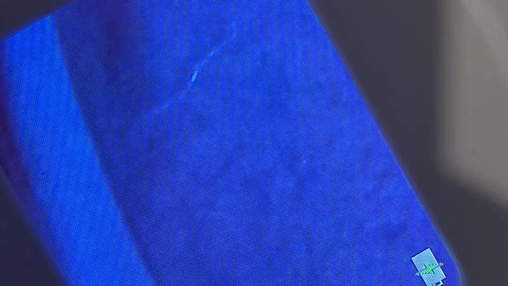 A short bright fiber near the top of the filter membrane