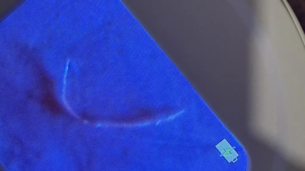 A long curved fiber running across the filter membrane