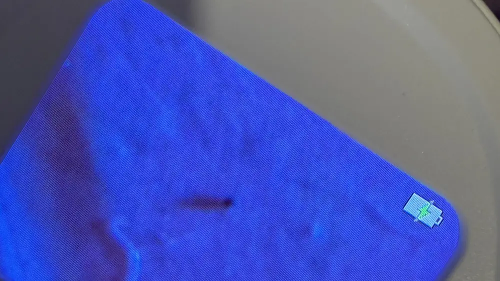 A dark elongated particle in the middle of the filter membrane