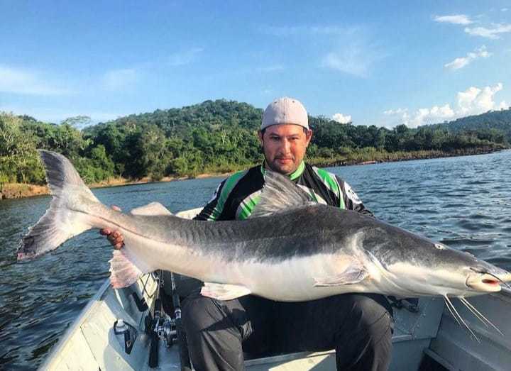 Amazônia ⭐⭐⭐⭐⭐ - Rio Teles pires e seus monstros - A única operação da região que pesca em 100 km de Rios. 