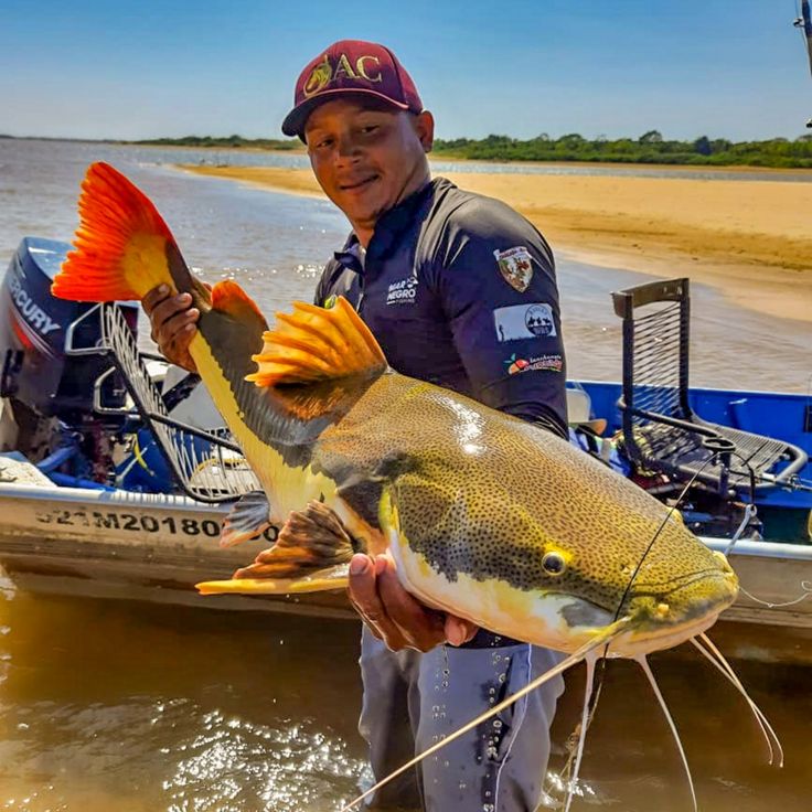 Araguaia melhor PREÇO do Brasil - Estrutura de Luxo e muito peixe