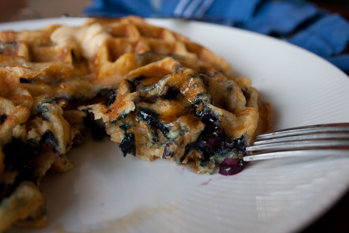 Blueberry Waffle Picture