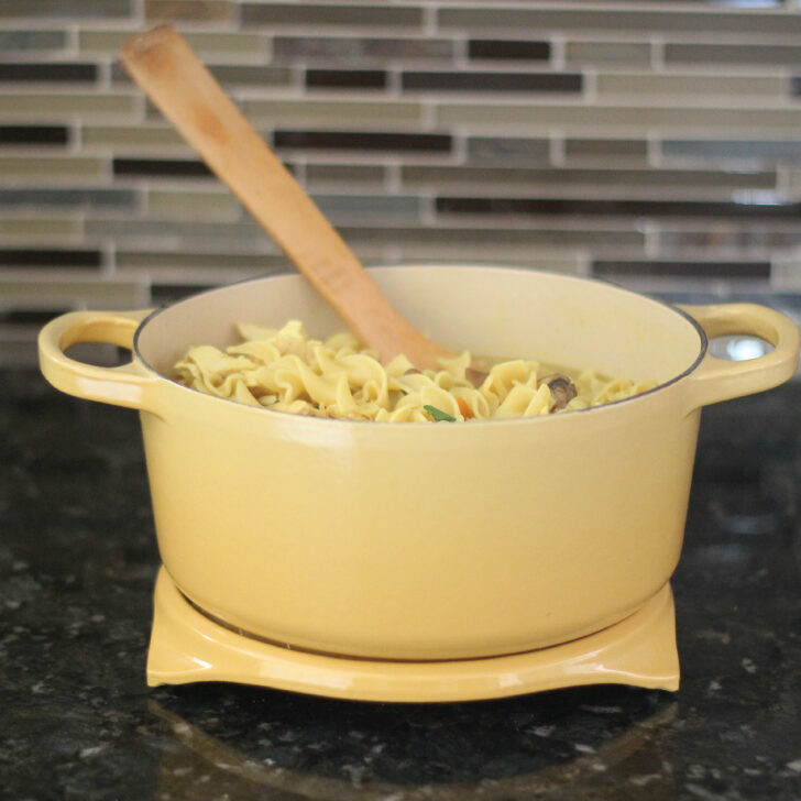 Chicken Noodle Soup Picture