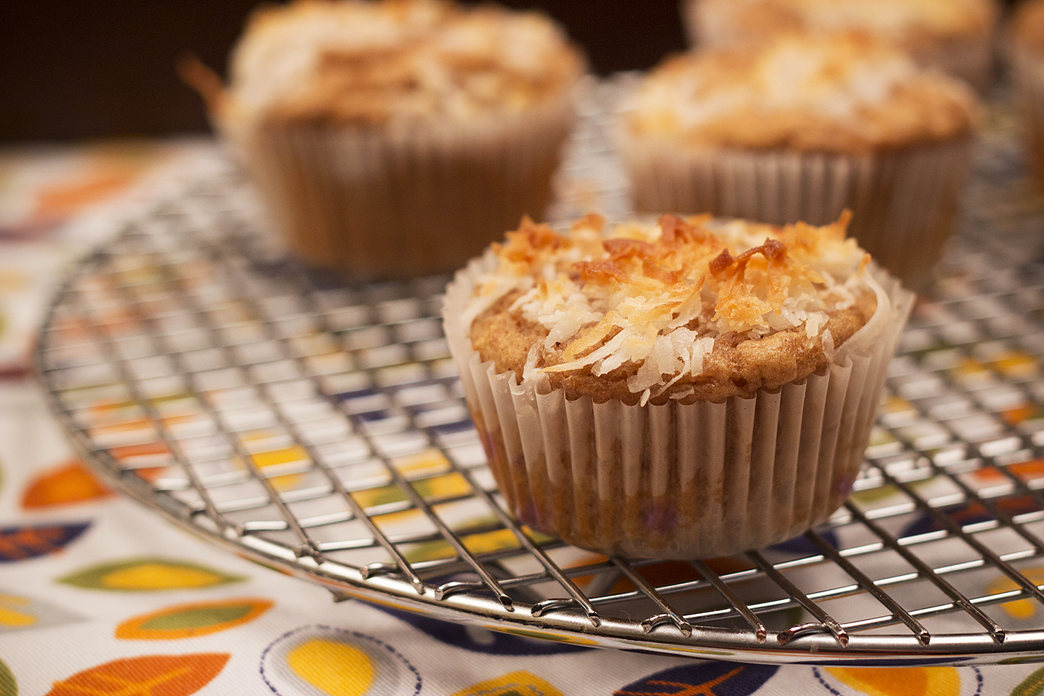 Blueberry Coconut Muffins Photo