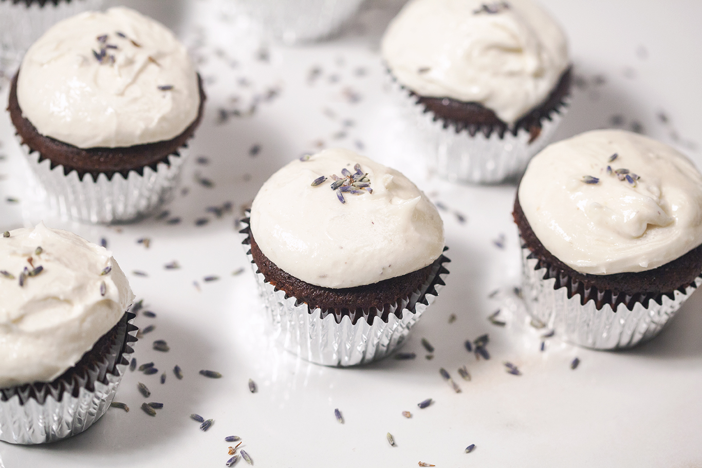 Chocolate Cupcakes with Lavender Goat Cheese Frosting Photo