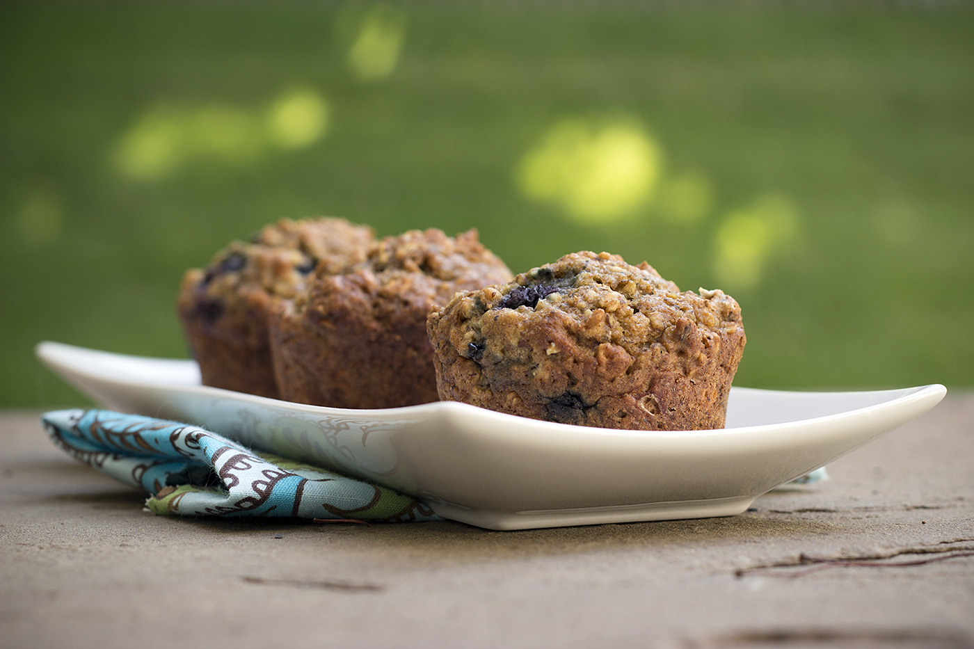 Blueberry Flax Muffins Photo