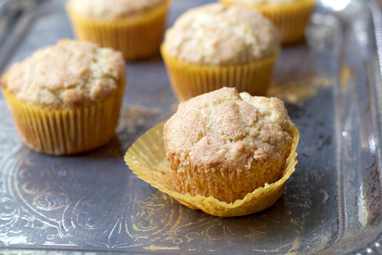 Snickerdoodle Muffins Photo