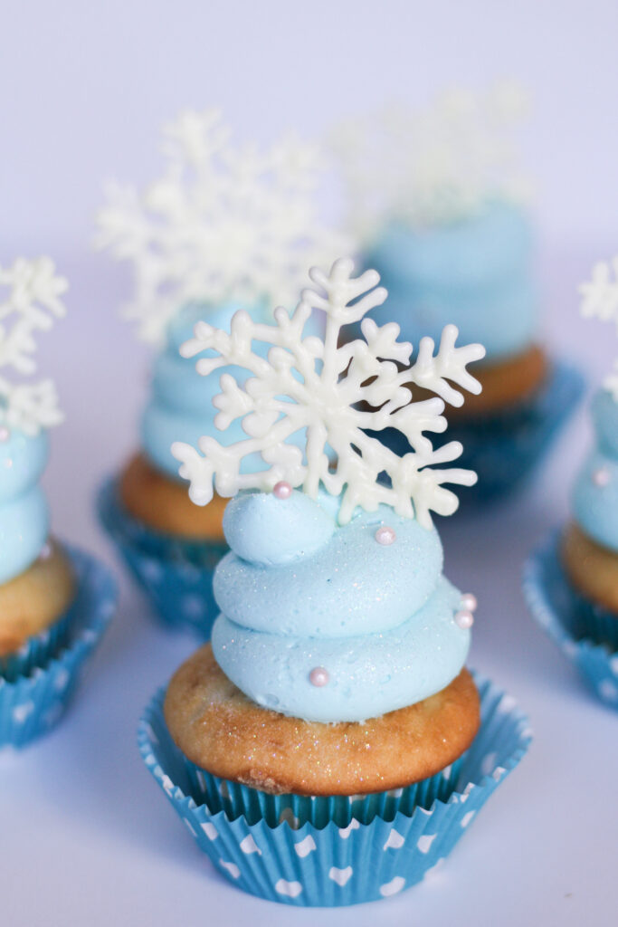 Frozen Cupcakes Picture