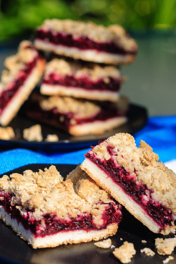 Blackberry Crumble Bars Picture