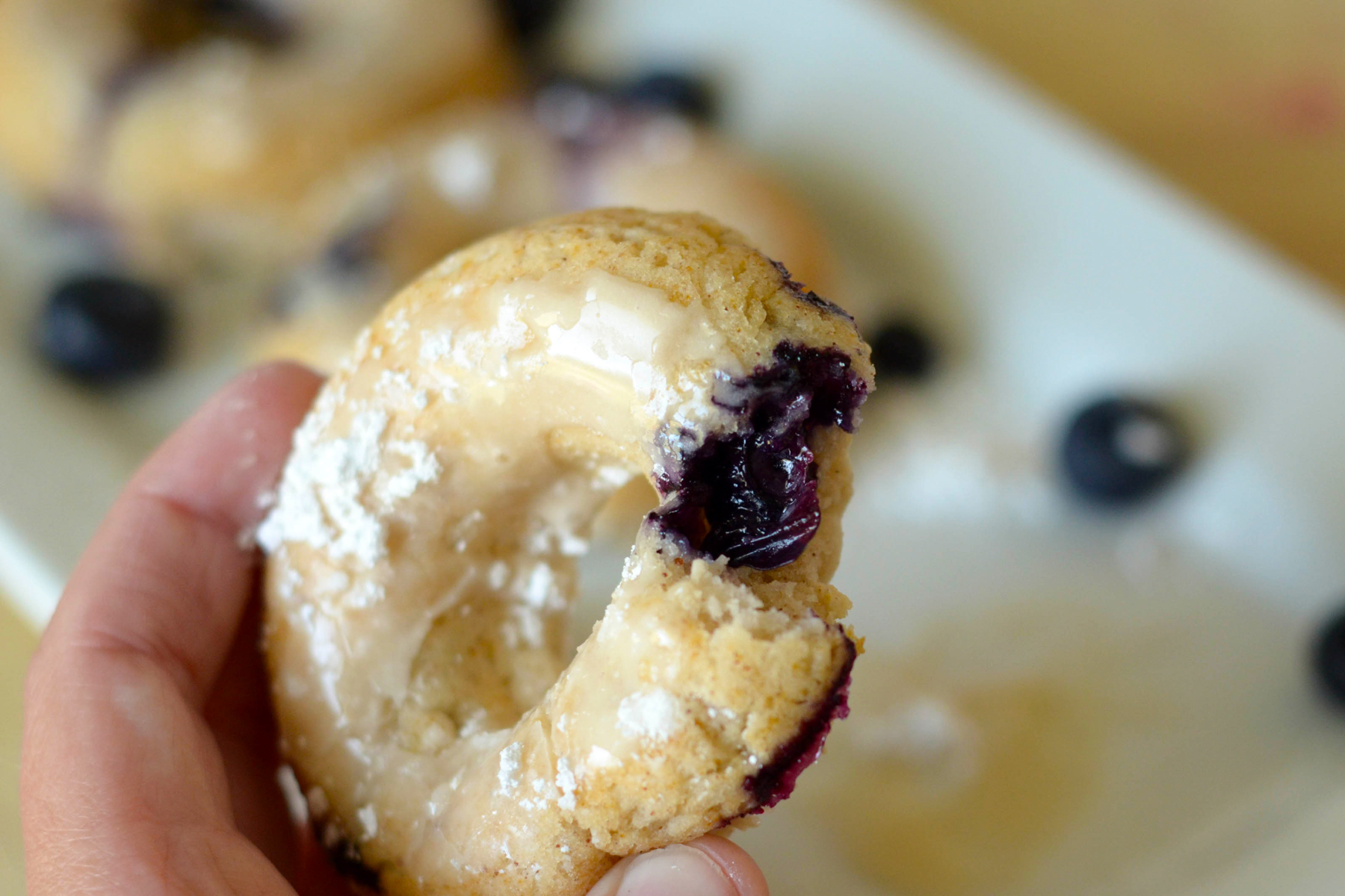 Gluten Free Baked Blueberry Donuts Photo