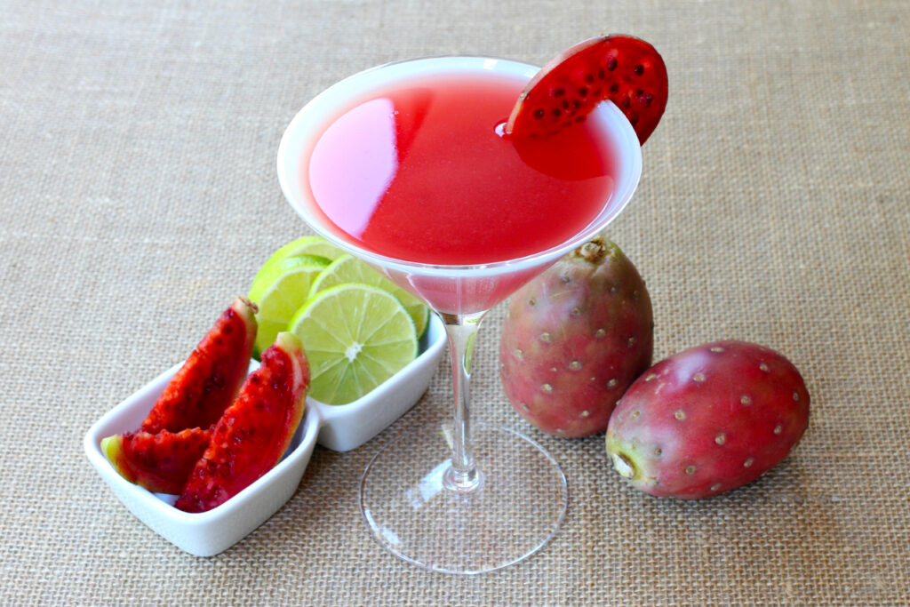 Prickly Pear Martini Photo