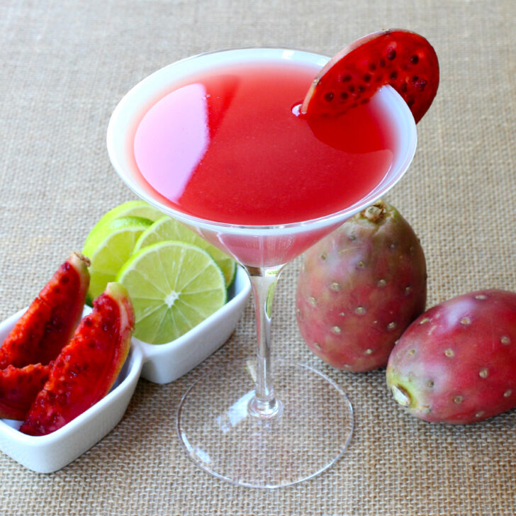 Prickly Pear Martini Photo
