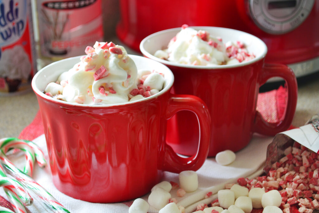 Boozy Slow Cooker Peppermint Hot Chocolate Photo