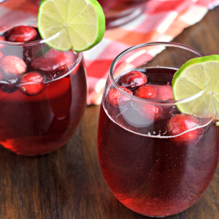 Cranberry Ginger Ale Punch Photo