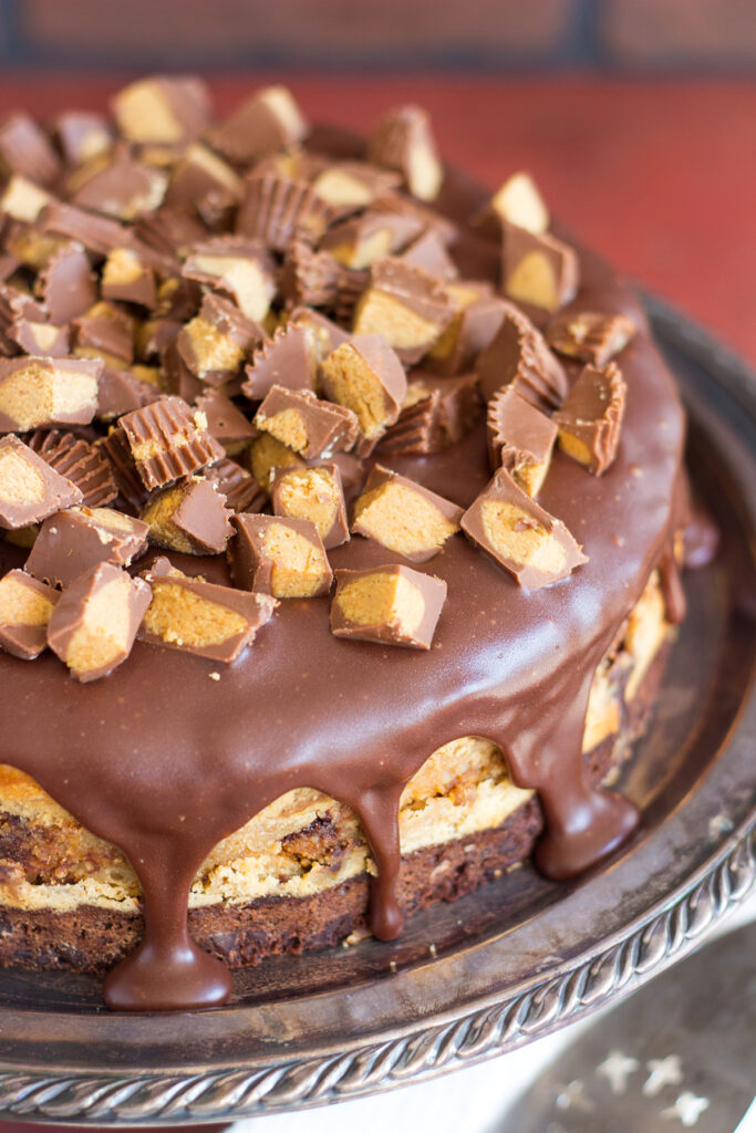 Peanut Butter Cup Brownie Cheesecake Picture
