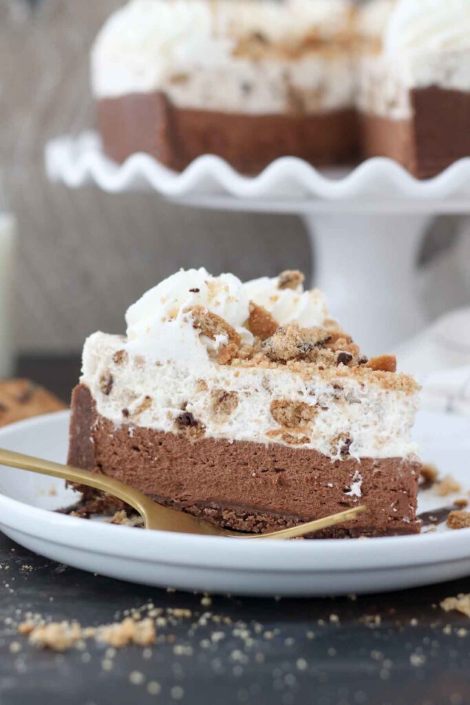 Chocolate Chip Mousse Cake Picture