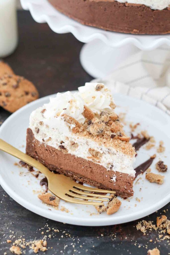 File 1 Chocolate Chip Mousse Cake 