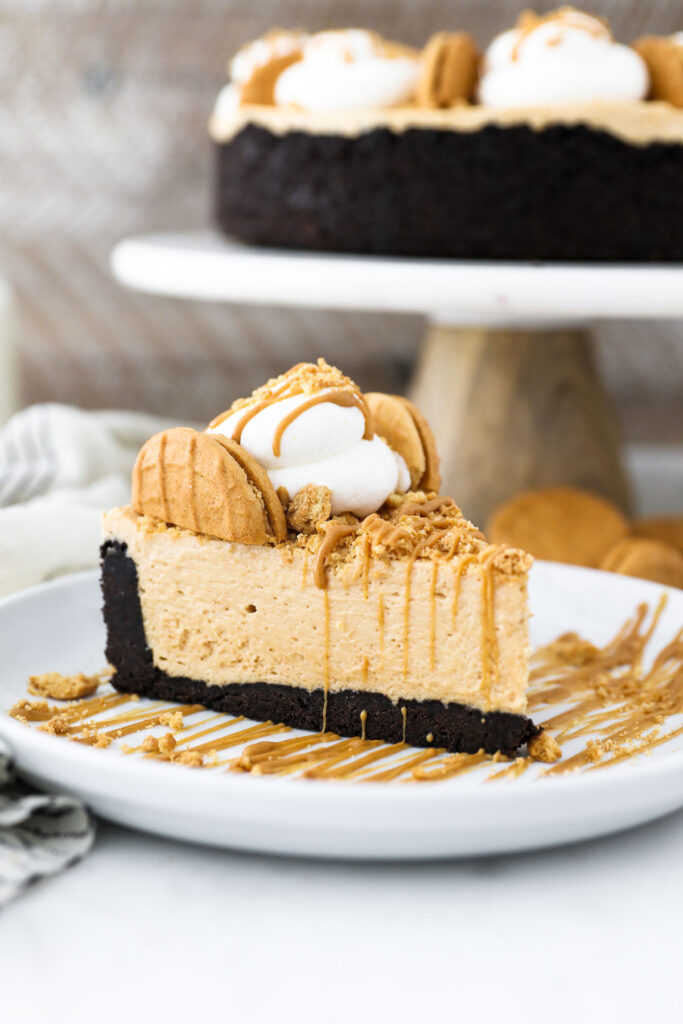No Bake Peanut Butter Marshmallow Pie Pic