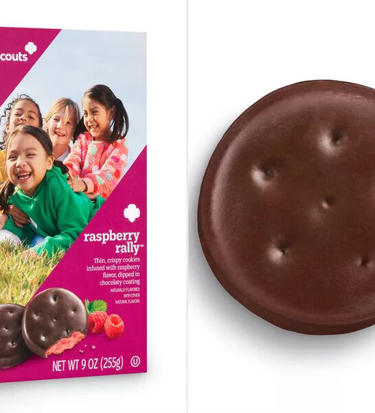 Girl Scout Raspberry Rally Cookies Photo