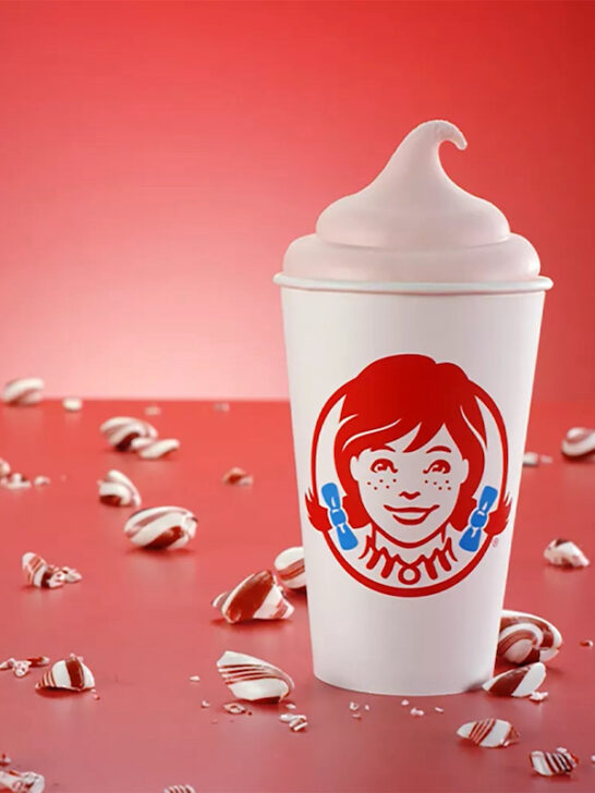Wendy's Peppermint Frosty Photo