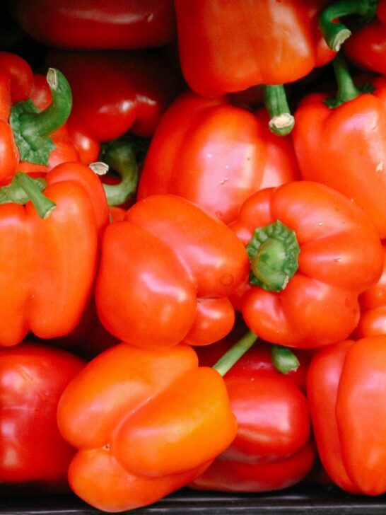 When To Pick Bell Peppers