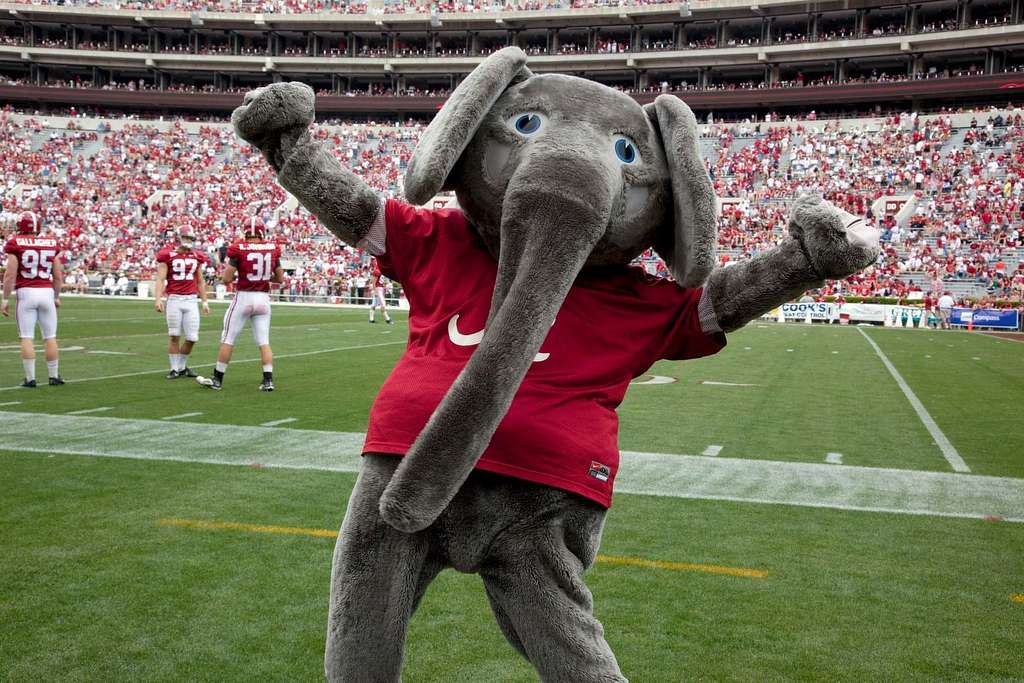 The Top Ten College Football Teams in 2021 - Geek Vibes Nation