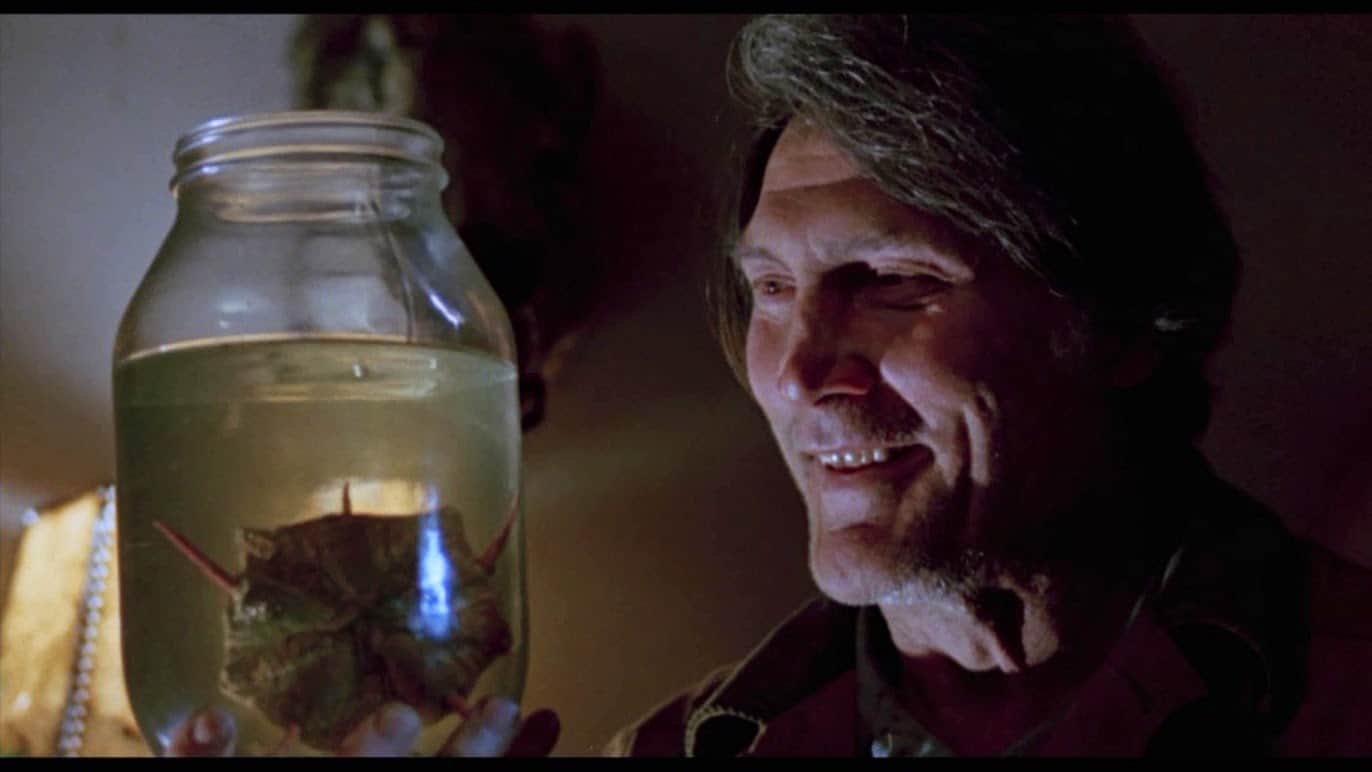 Without Warning Cbs 'Without Warning' (1980) Special Edition Blu-Ray Review - Alien Flick ...