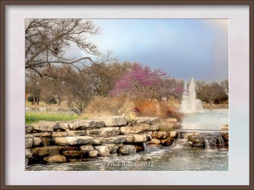 Red Bud with Fountain in Frame