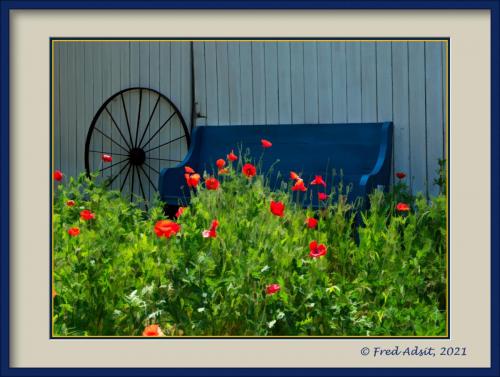 Soft Features-Red Poppies w Blue Bench and Wheel