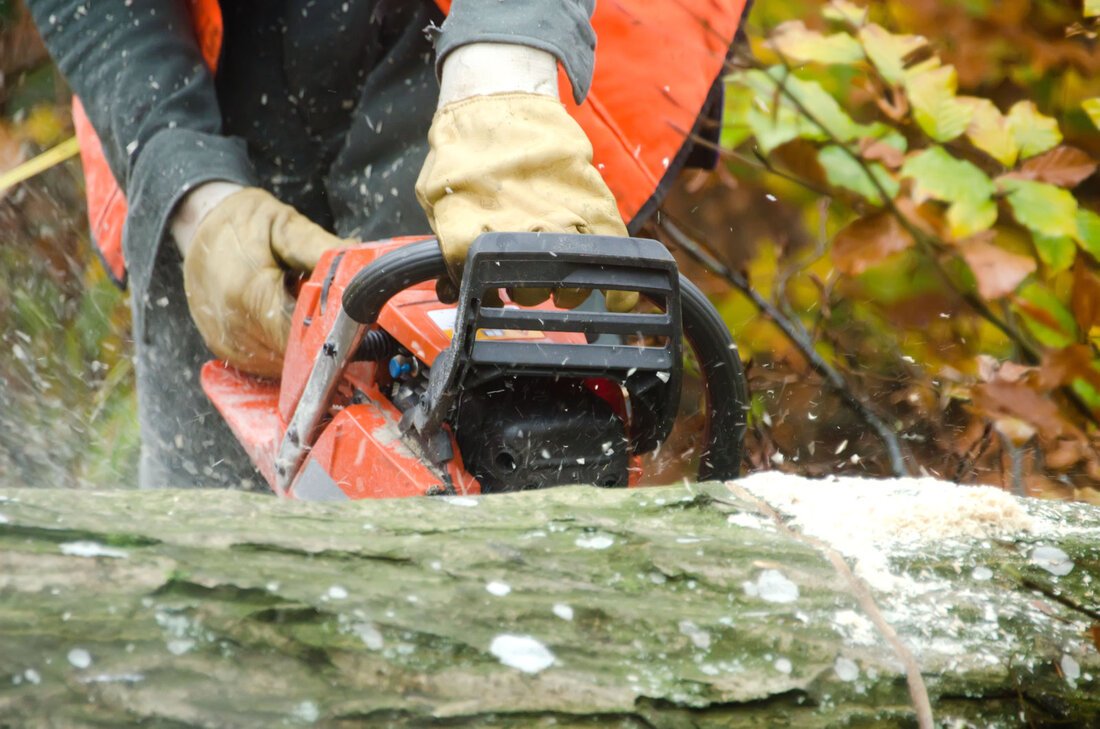 how much does tree cutting cost