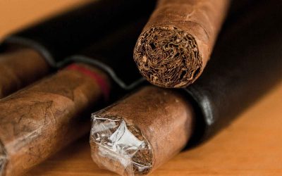 How to Revive a Dried-Out Cigar