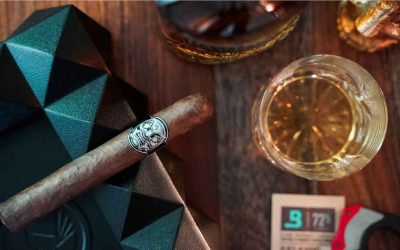 Cigars for Beginners: A No-Snob Guide