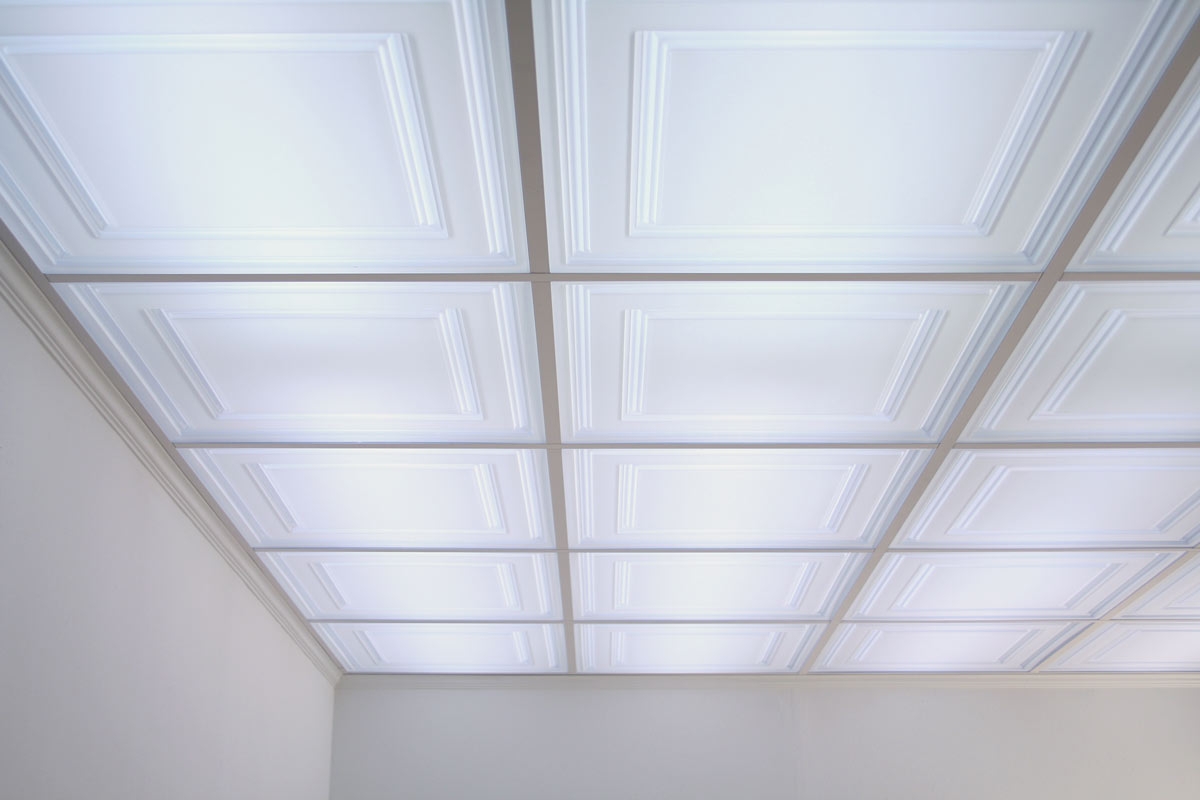 2×2′ Clear Ceiling Tiles