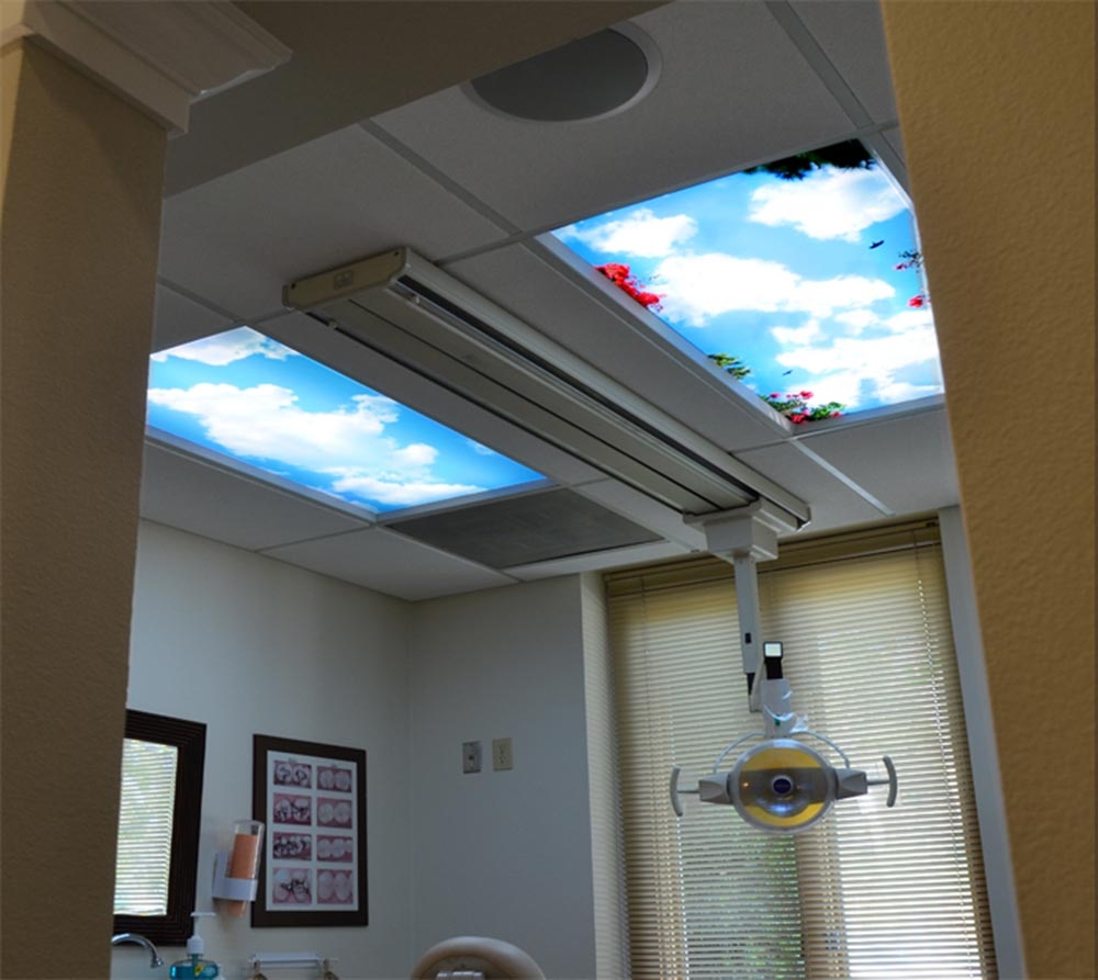Permalink to Decorative Fluorescent Ceiling Light Panels