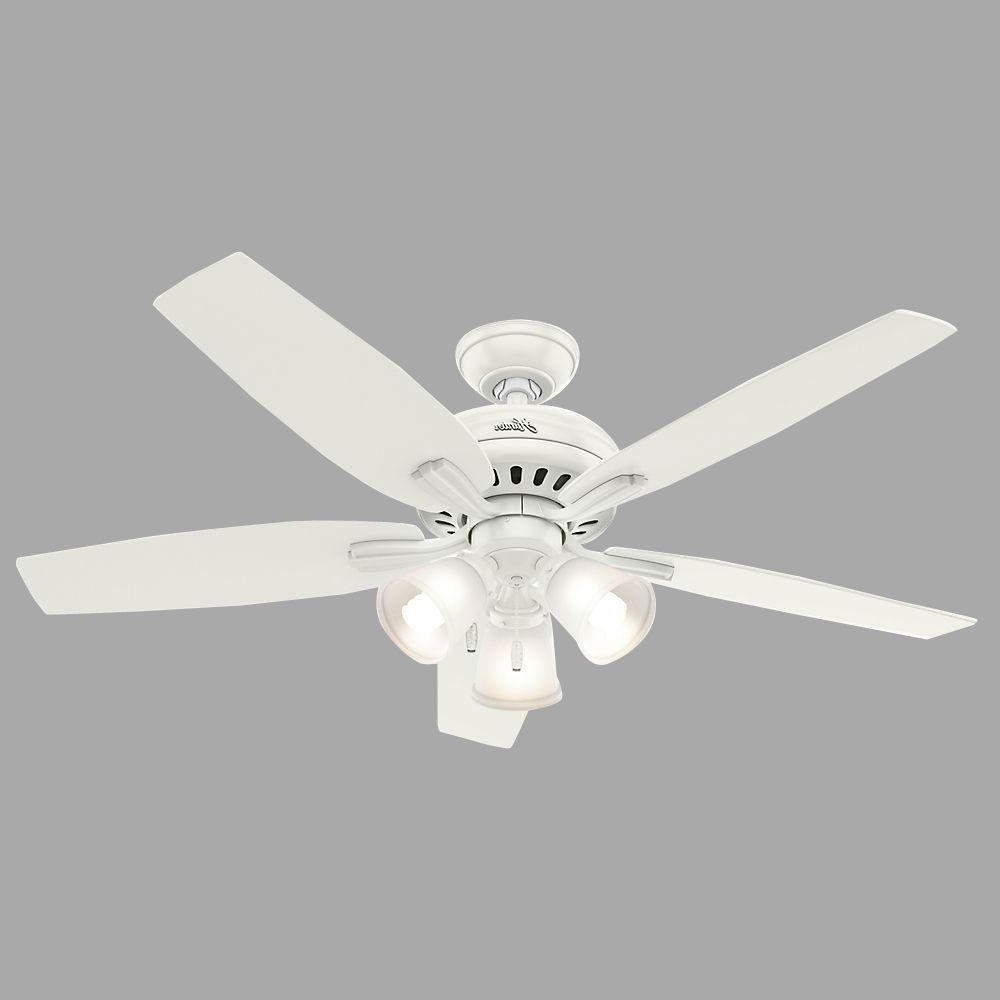 Kitchen Ceiling Fan With Bright Light