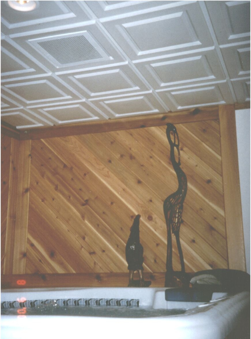 Wood Grain Acoustic Ceiling Tiles