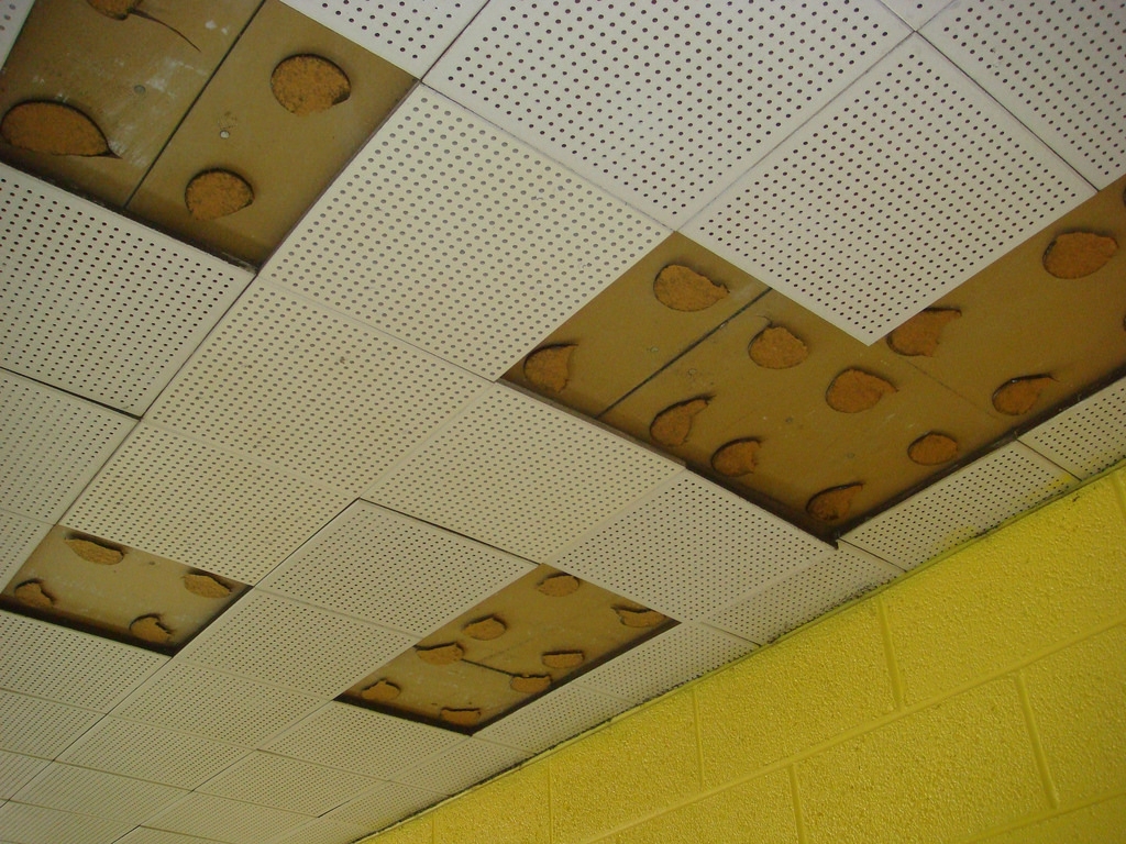 12 X 12 Ceiling Tile Asbestos