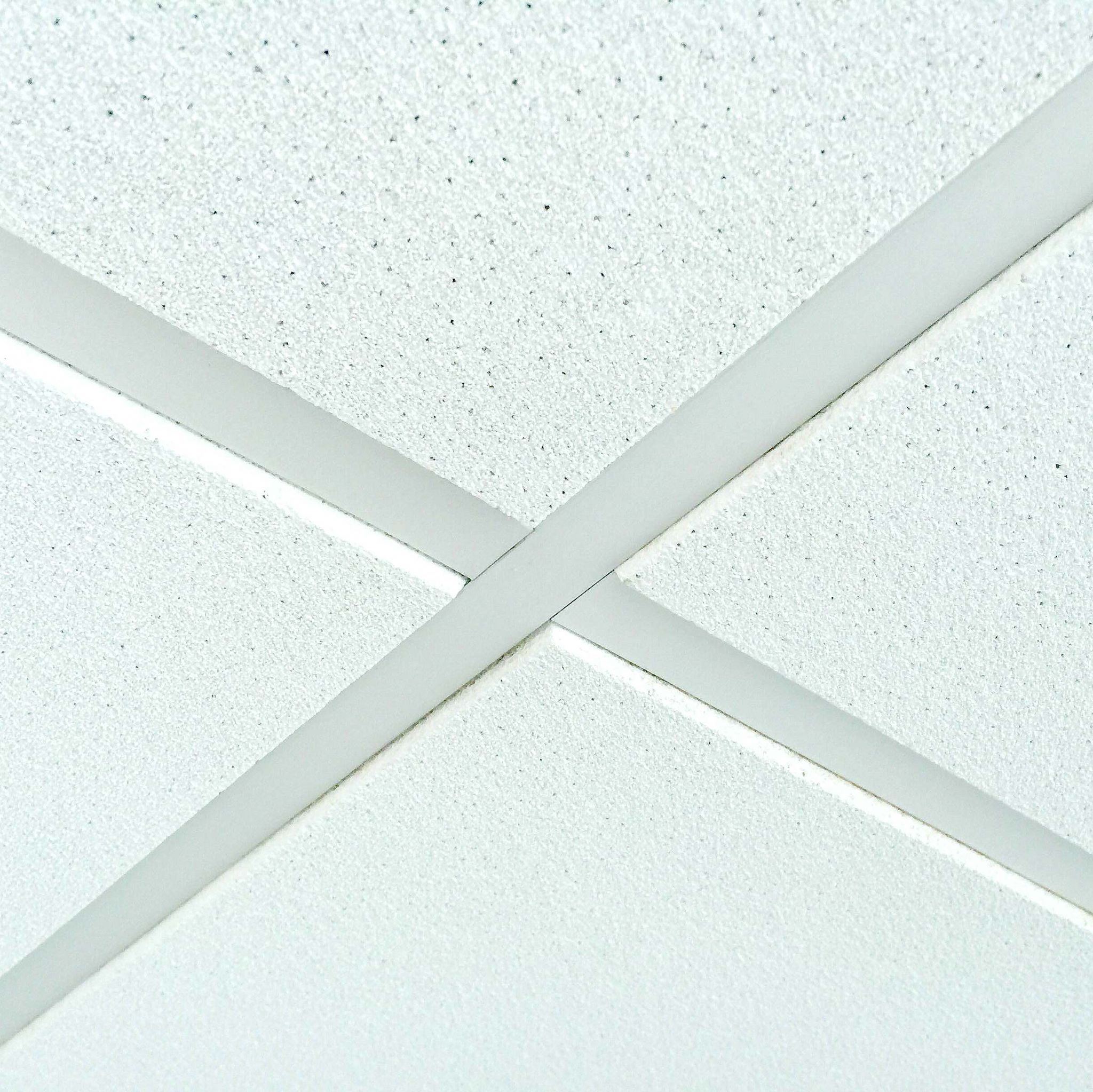Armstrong Fine Fissured Tegular Ceiling Tiles