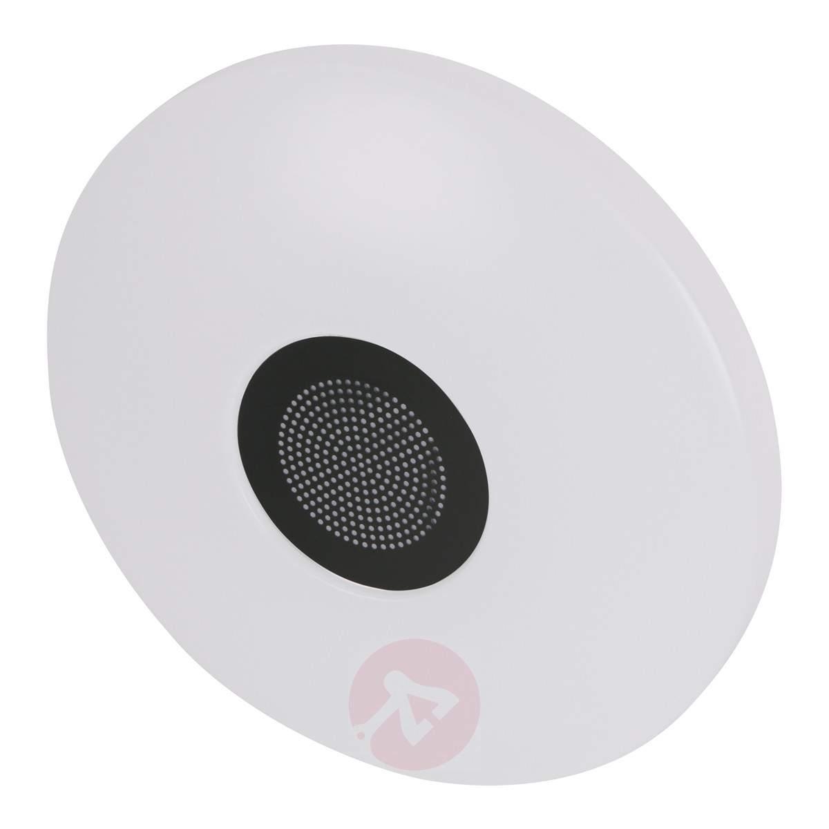 Bluetooth Ceiling Light Speakers