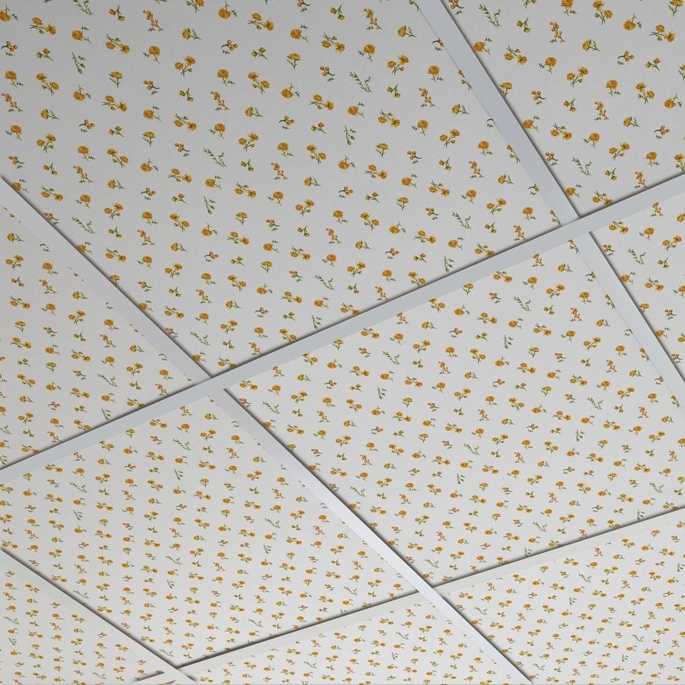 Cardboard Type Ceiling Tiles Cardboard Type Ceiling Tiles cardboard suspended ceiling tile decorative printed custom 1000 X 1000