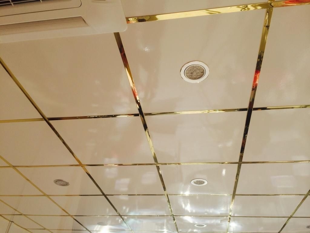 Permalink to Mirrored Suspended Ceiling Tiles