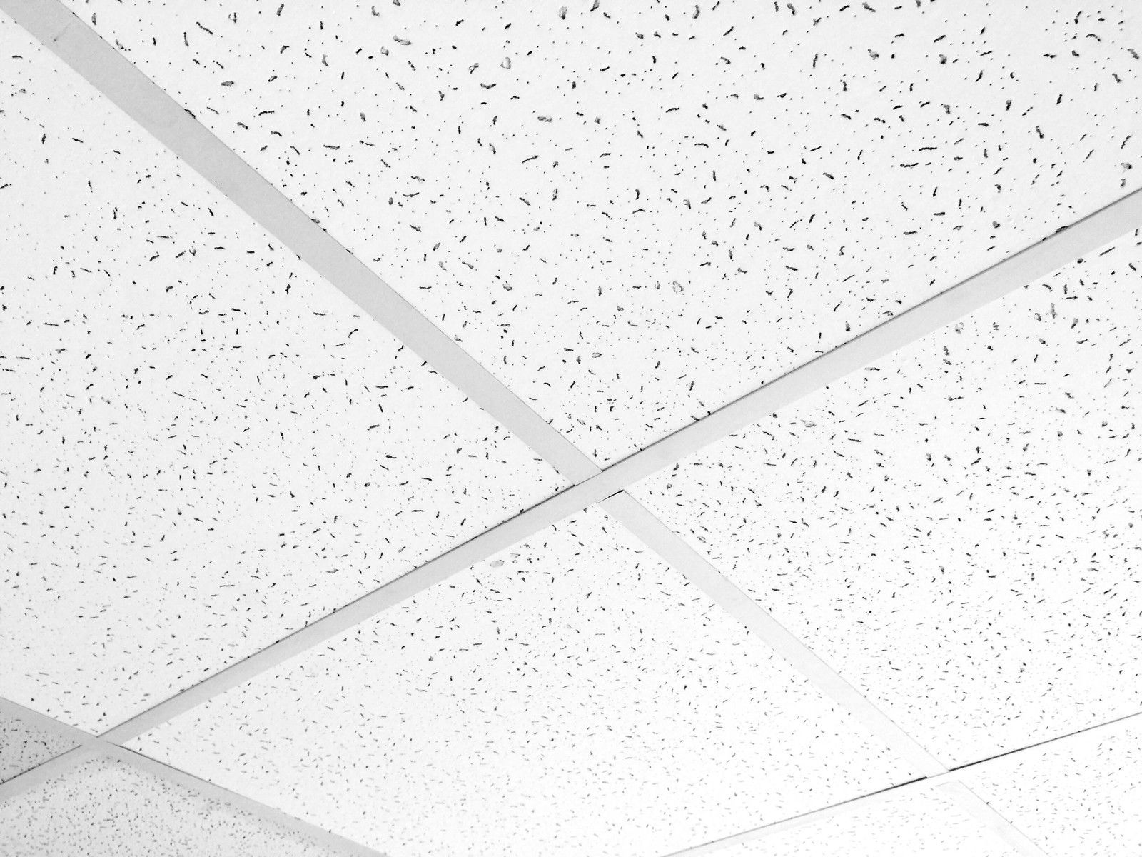 Fine Fissured Ceiling Tiles