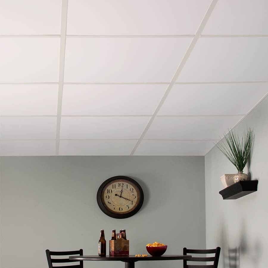 Smooth Pro Ceiling Tiles