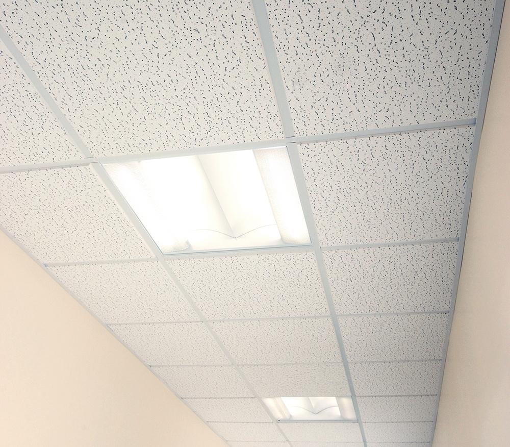 Suspended Ceiling Tile Types