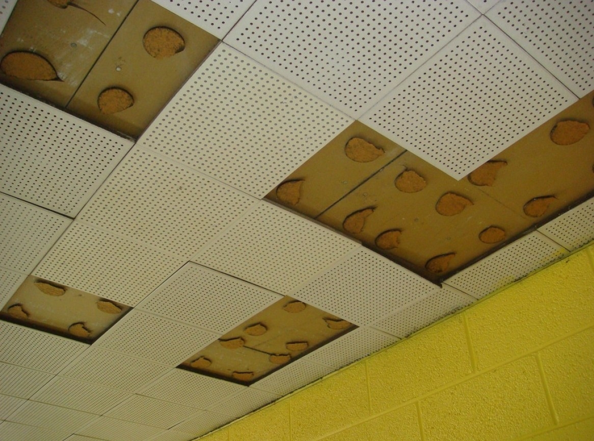 12 Polystyrene Ceiling Tiles