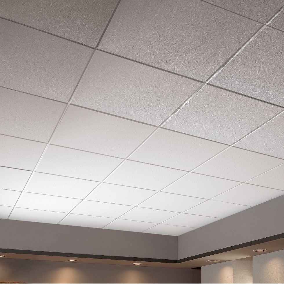 Armstrong Mylar Ceiling Tiles