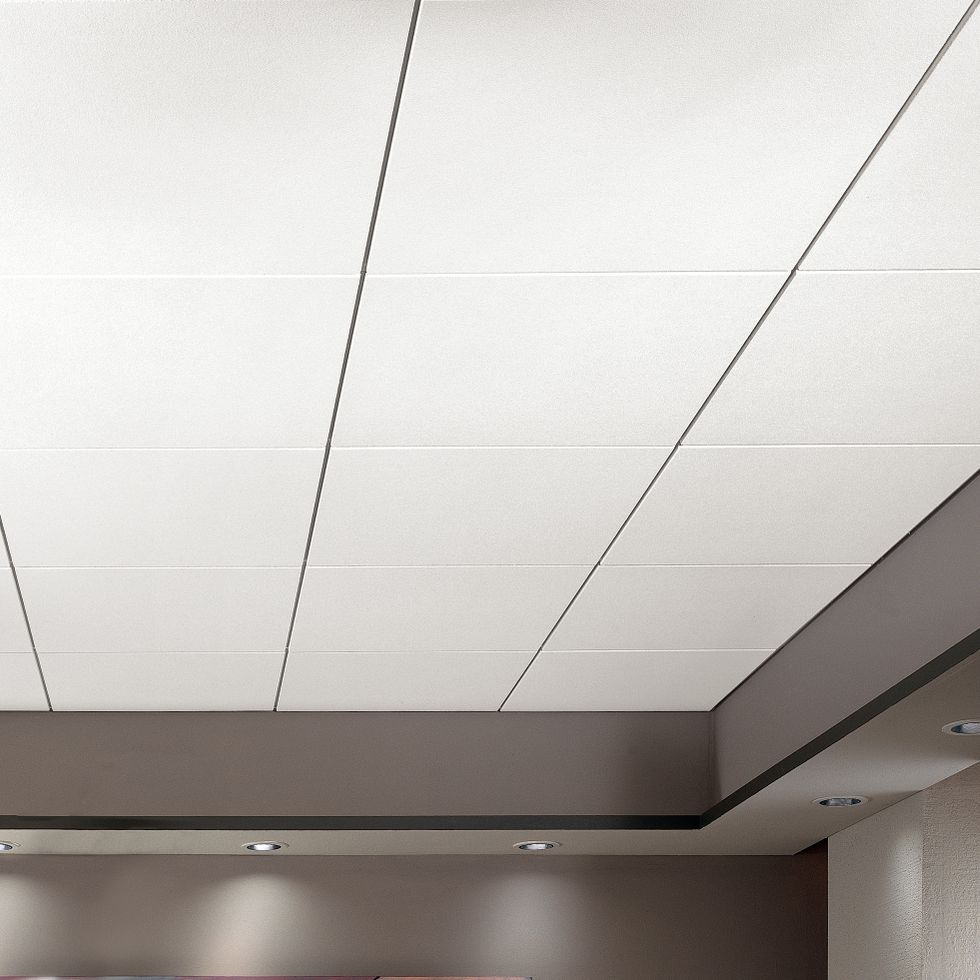 Armstrong Optima Plank Ceiling Tiles