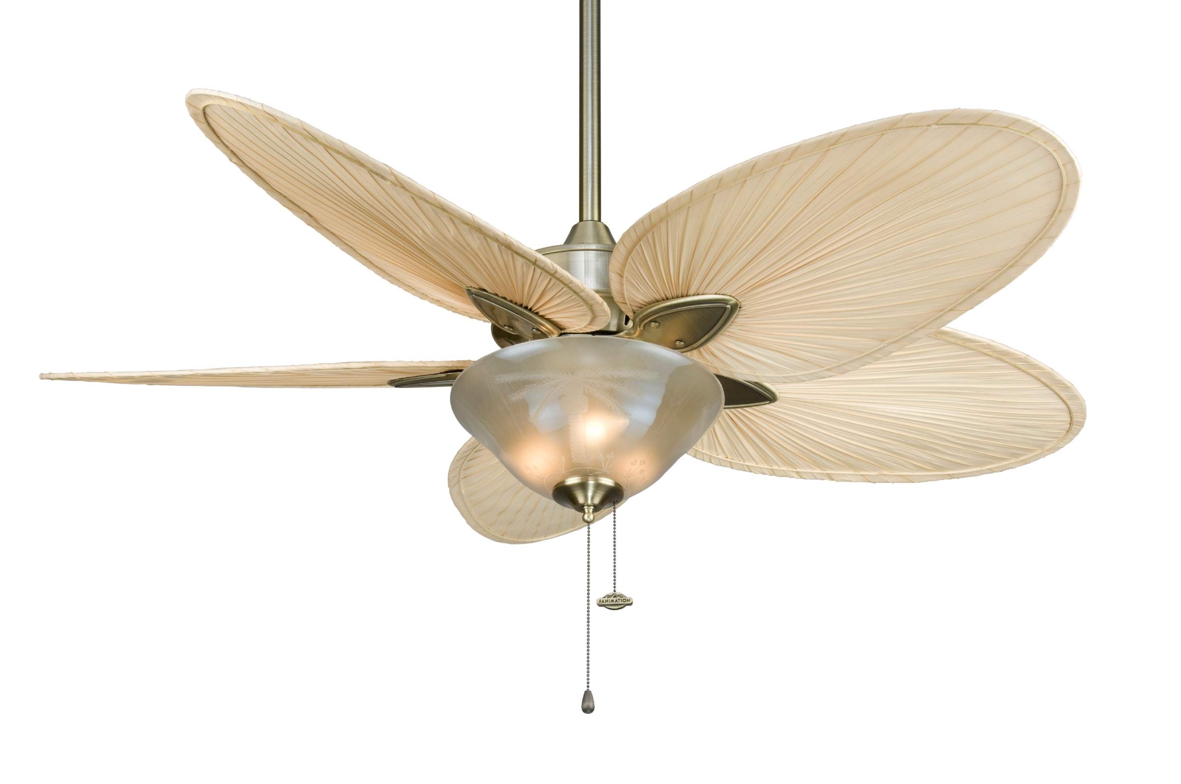 Ceiling Fans With Palm Leaf Blades And Light