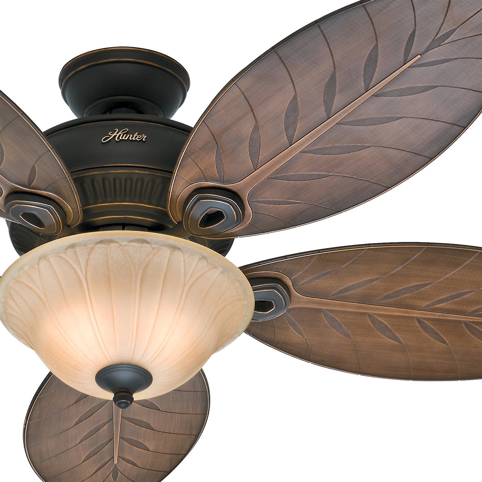 Hunter Tropical Ceiling Fans With Lights
